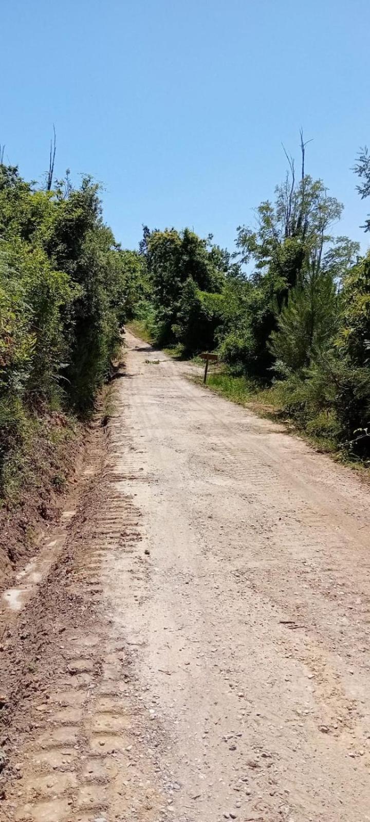 Agriturismo Da Nonna Argia Massa e Cozzile Exterior foto